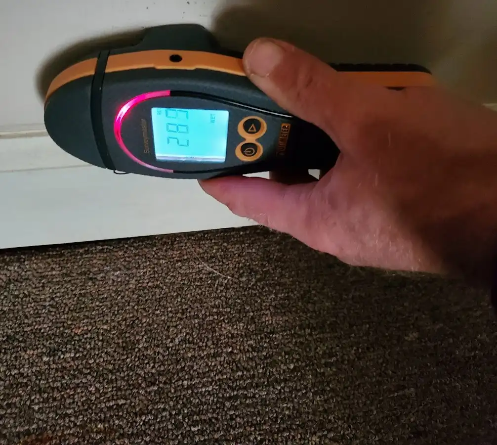 Moisture detection at baseboard during Sewage Cleanup & Sanitation in Jackson